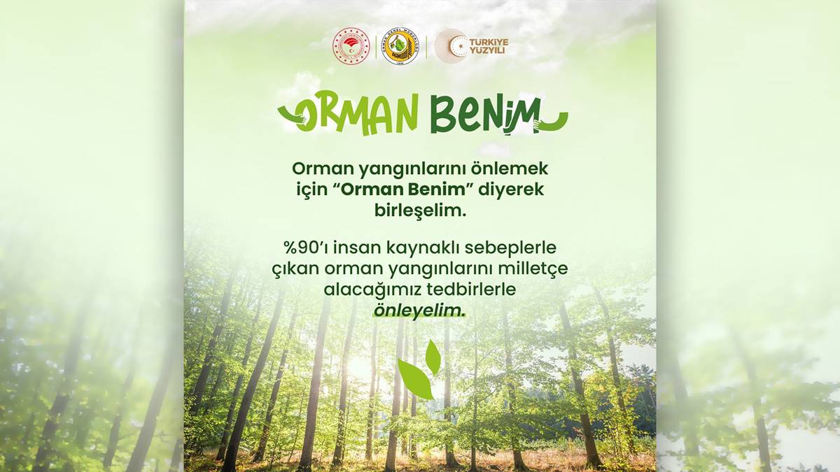Ülkemizde Orman Benim Kampanyası Hayata Geçiriliyor.